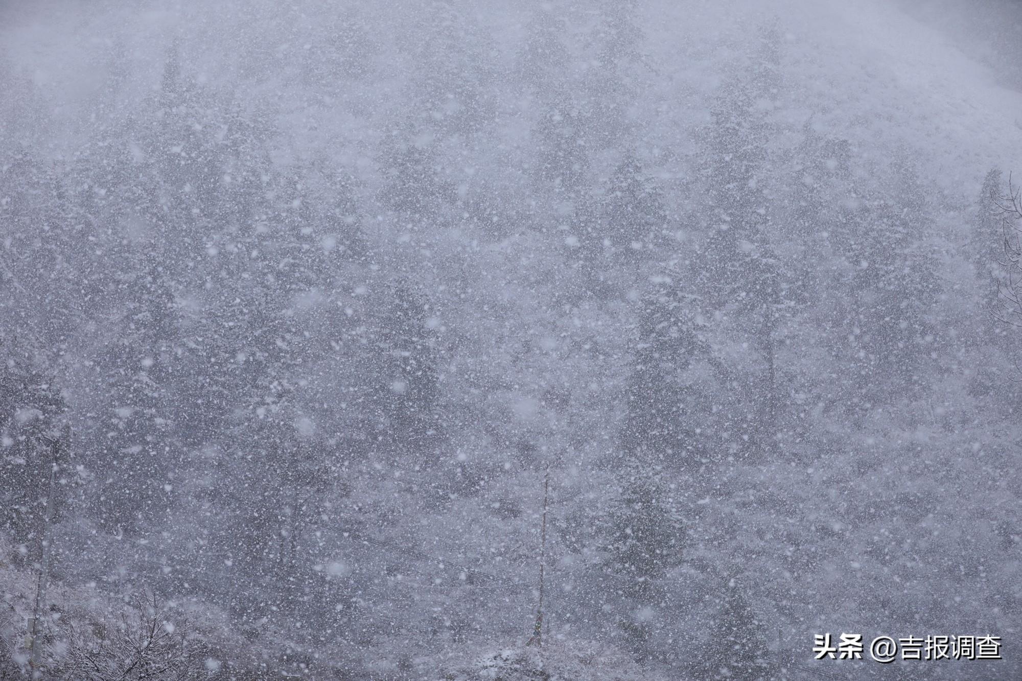 雪的密度多少合适（大雪来袭！赶快学学这些“冷”知识）