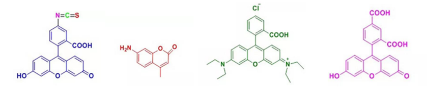 荧光染料有哪些（常用的荧光染料与标记染色介绍）