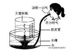 呼吸运动的过程（人体健康之呼吸运动）