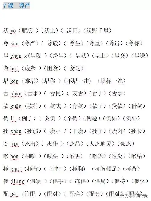 宽容的反义词和近义词（人教版四年级下册《第二单元》知识点汇总）