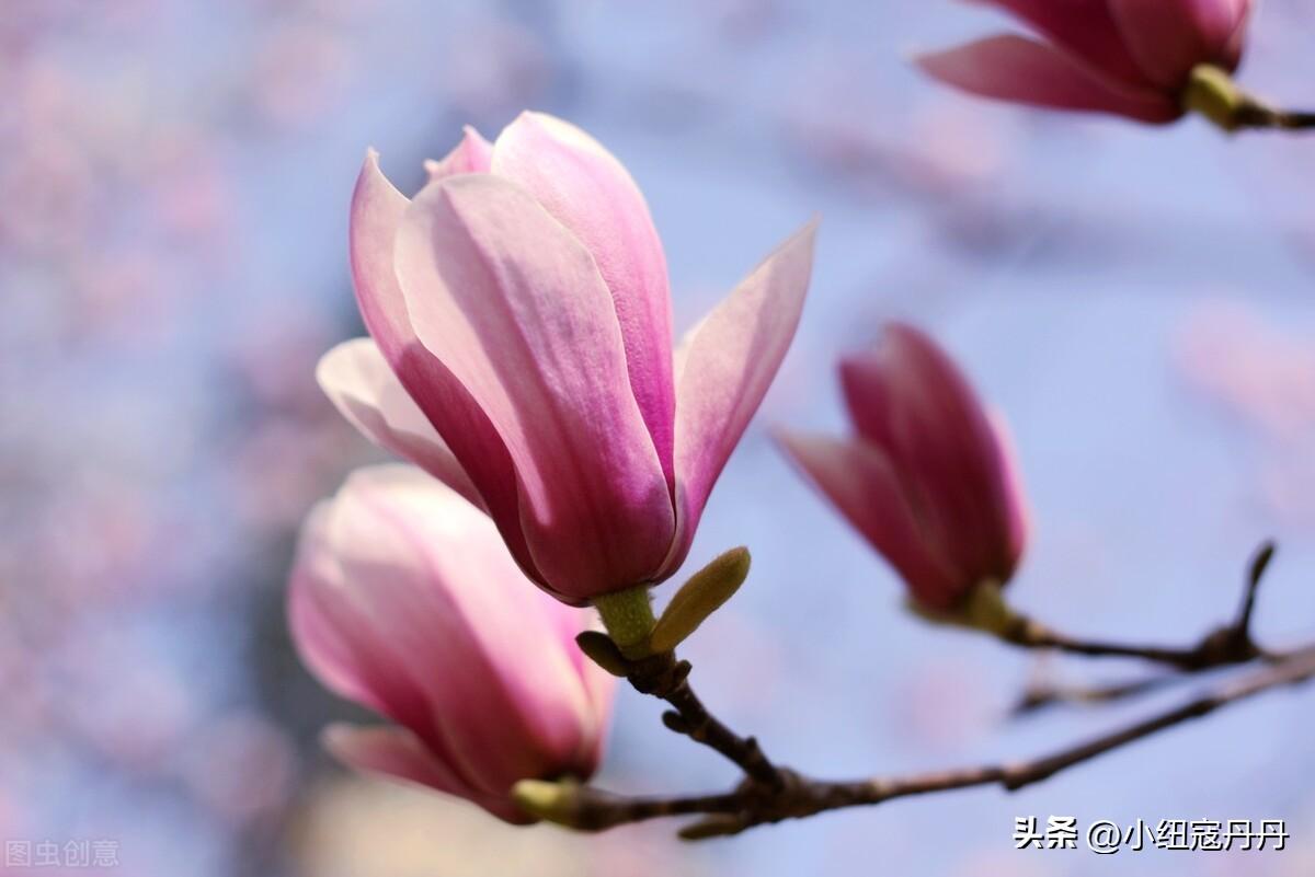 浪漫爱情诗句经典古诗（那些浪漫的古诗词—七夕送给你们）