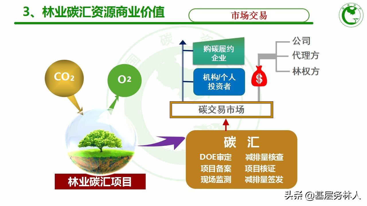 adaptation什么意思（“碳达峰、碳中和”专业术语）